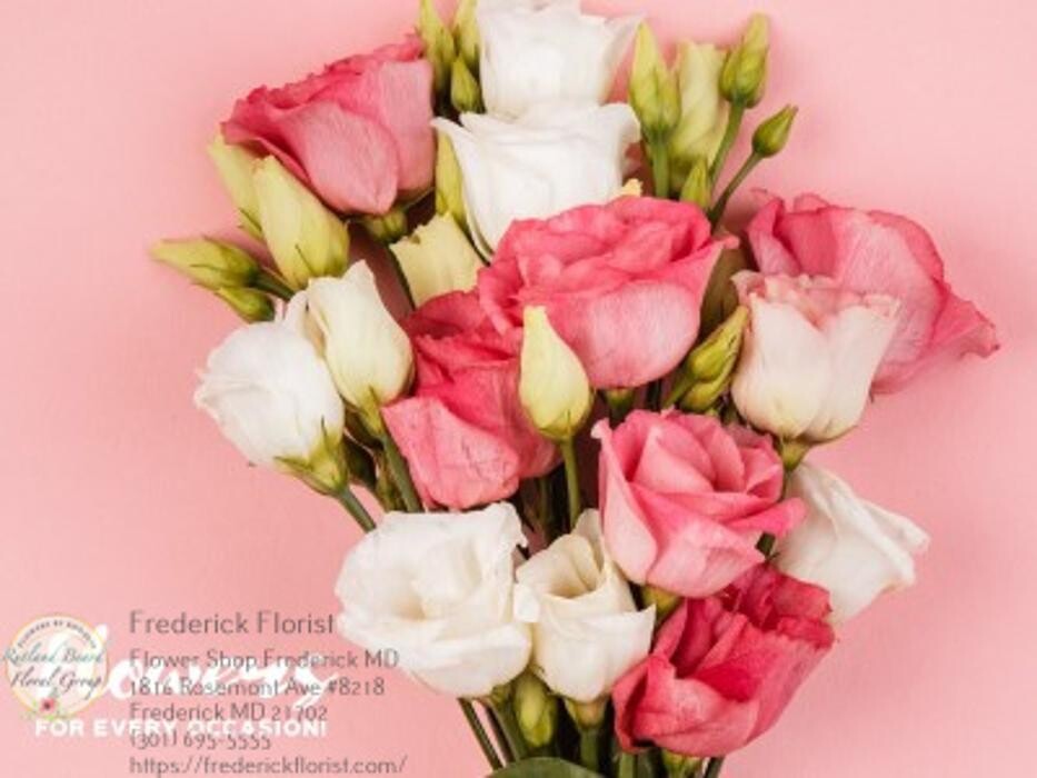 Images The Flower Bucket
