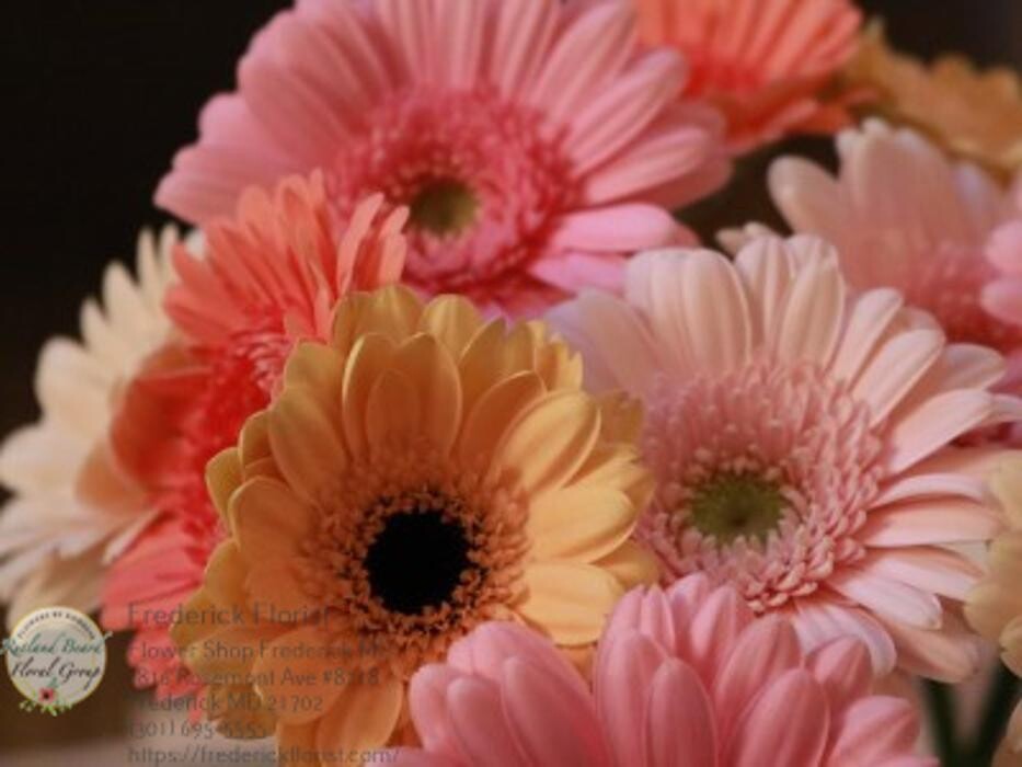 Images The Flower Bucket
