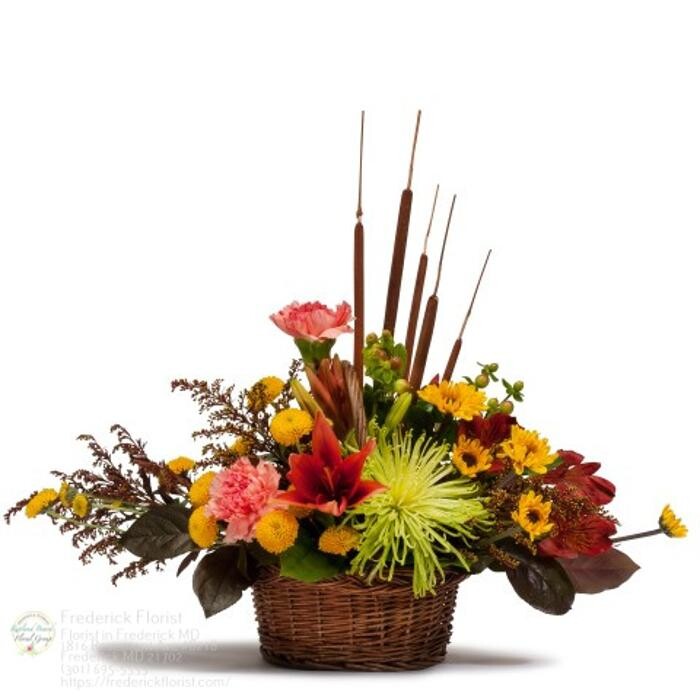 Images The Flower Bucket