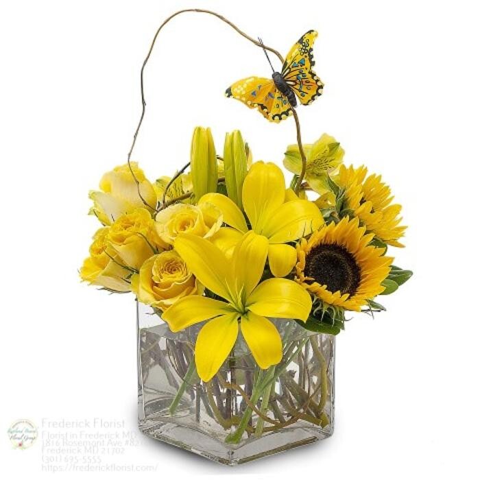 Images The Flower Bucket