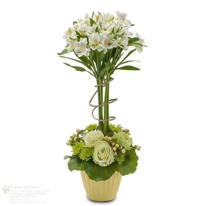 Images The Flower Bucket