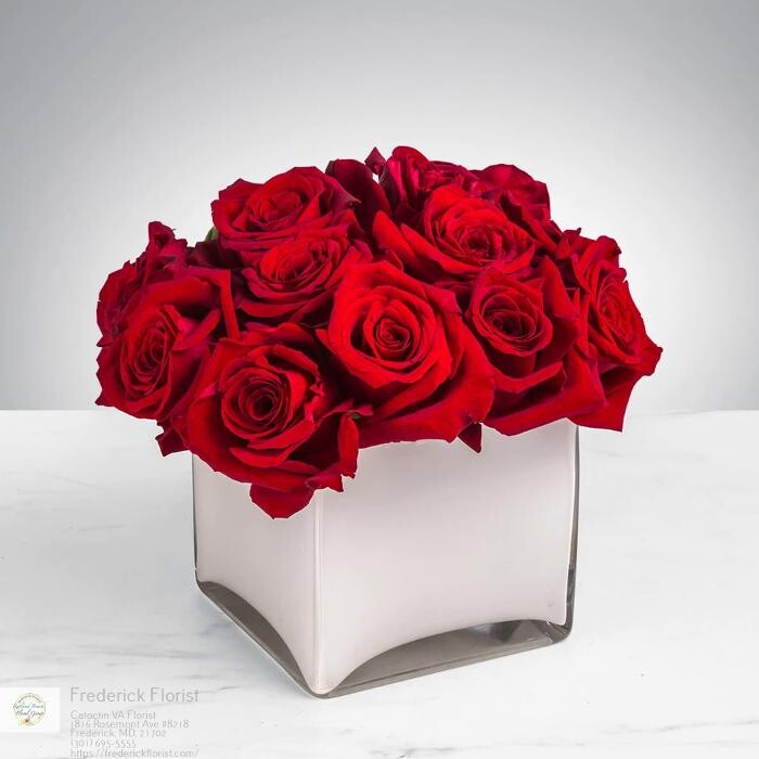 Images The Flower Bucket