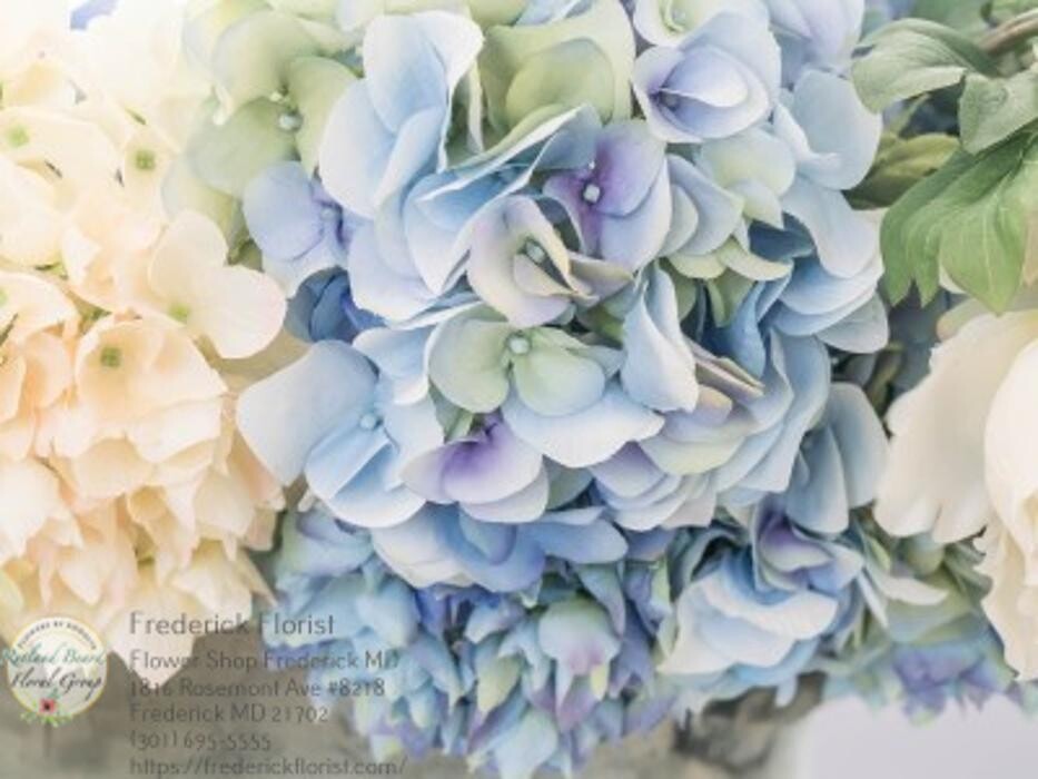 Images The Flower Bucket