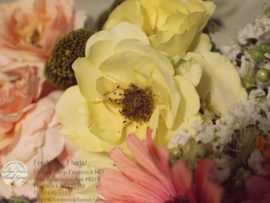 Images The Flower Bucket