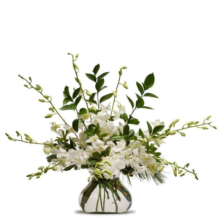 Images The Flower Bucket