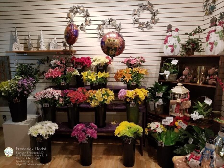 Images The Flower Bucket