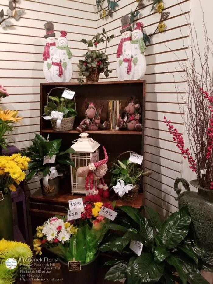 Images The Flower Bucket