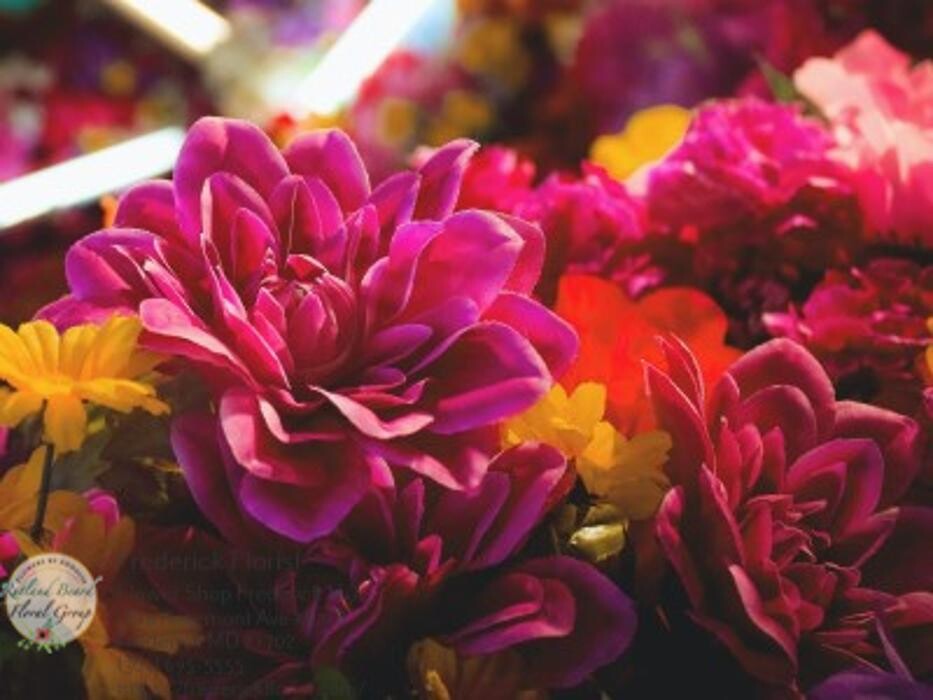Images The Flower Bucket