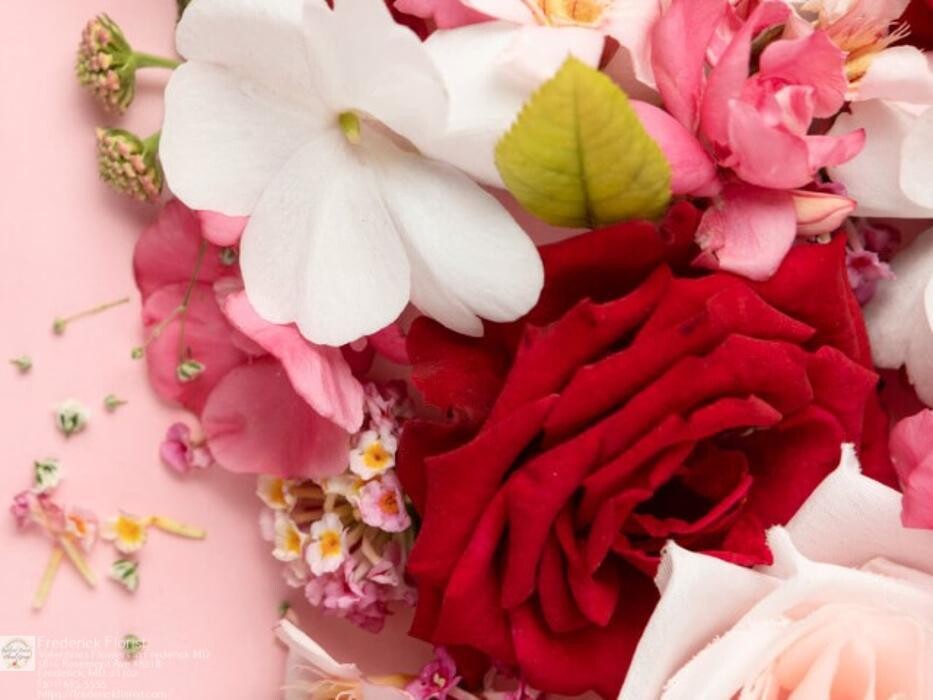 Images The Flower Bucket