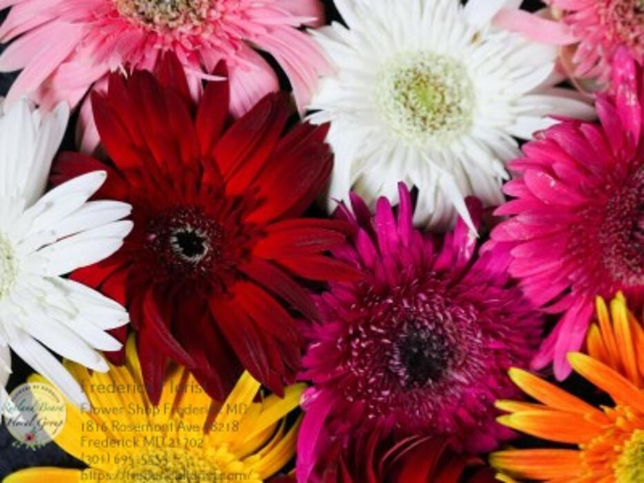 Images The Flower Bucket