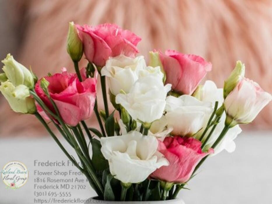 Images The Flower Bucket