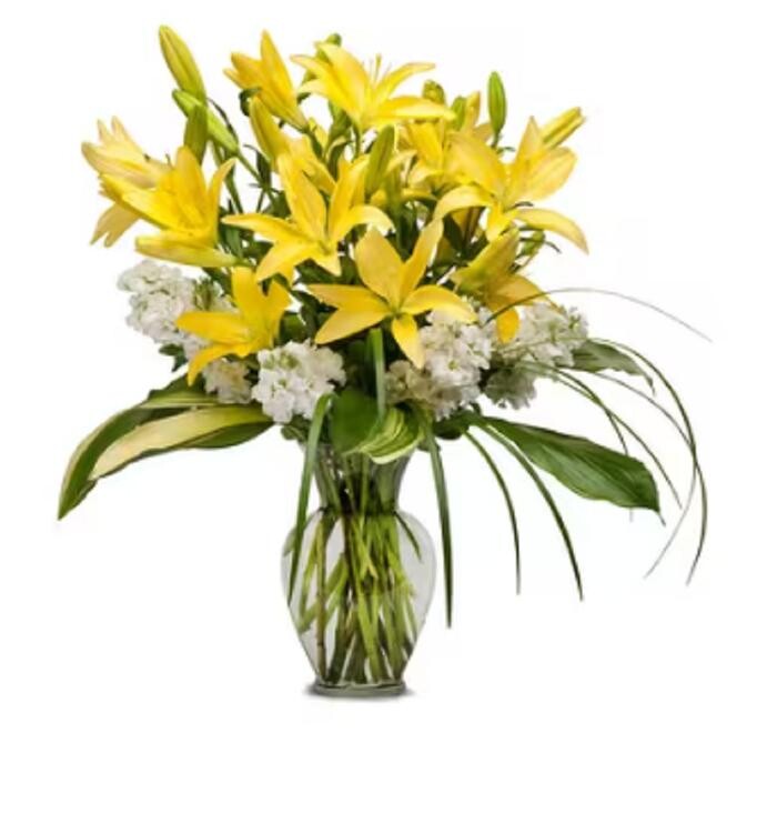 Images The Flower Bucket