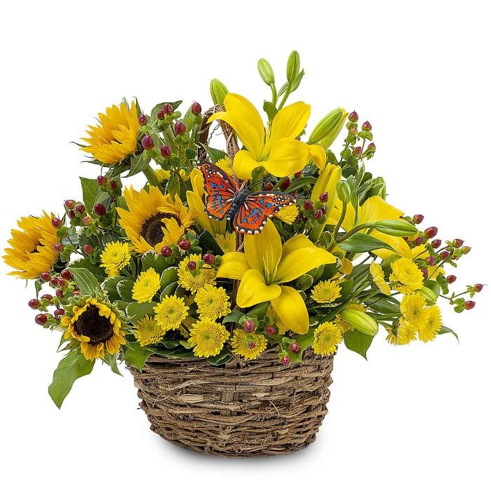 Images The Flower Bucket
