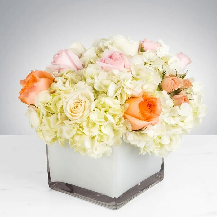 Images The Flower Bucket