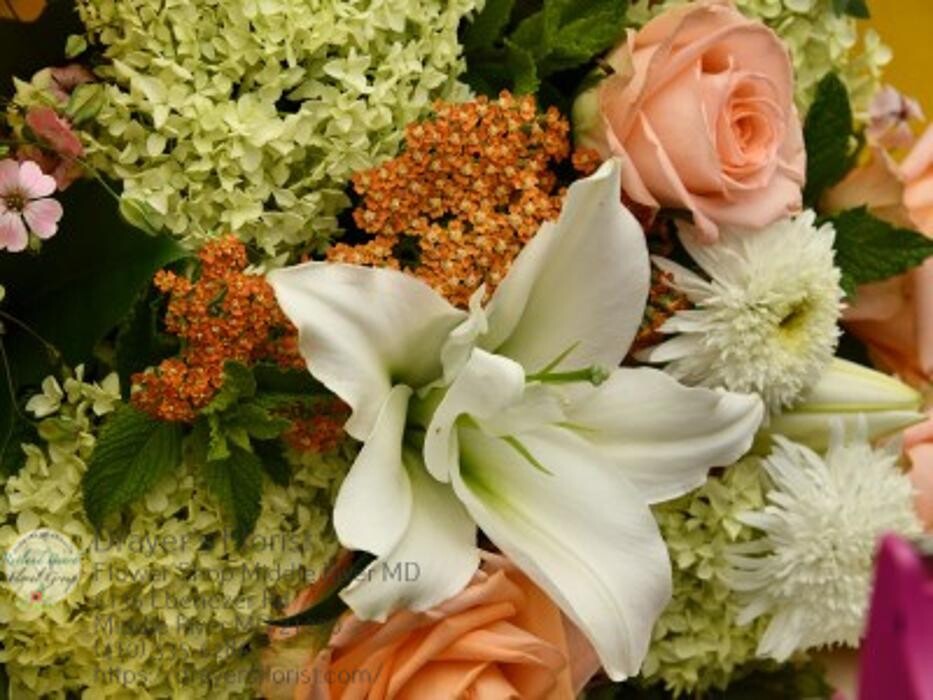 Images The Flower Bucket