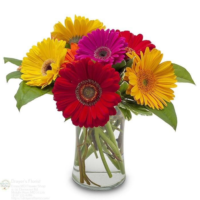 Images The Flower Bucket