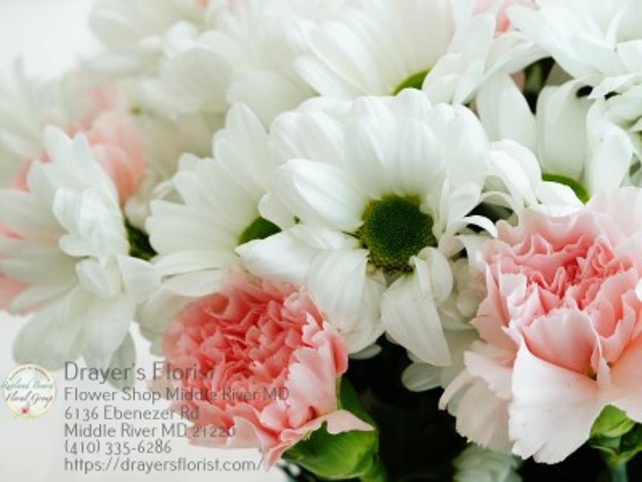 Images The Flower Bucket