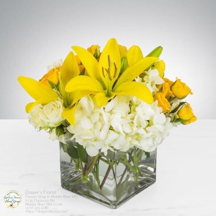 Images The Flower Bucket