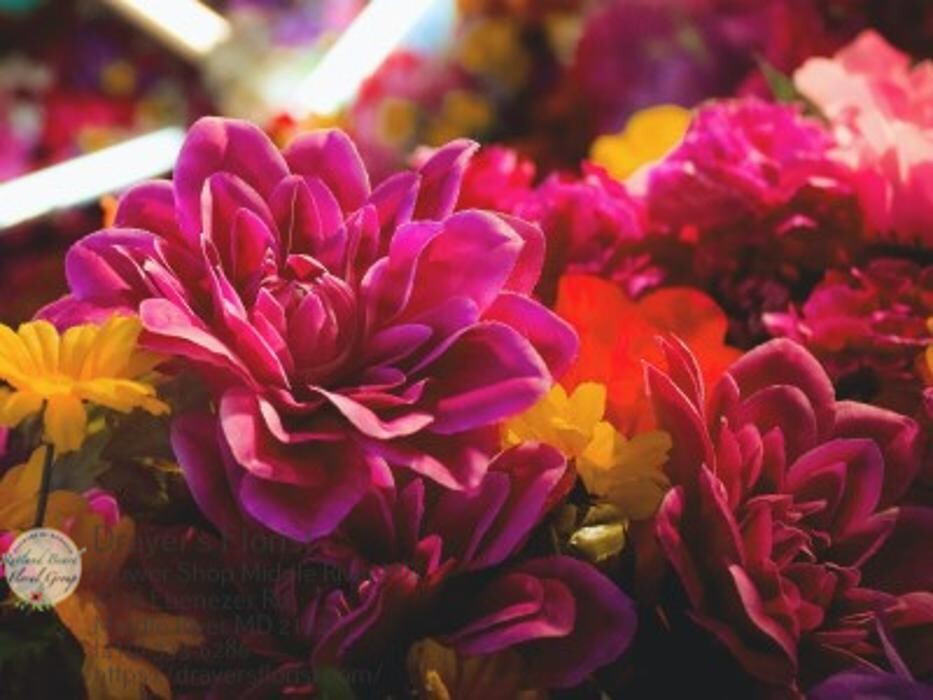 Images The Flower Bucket
