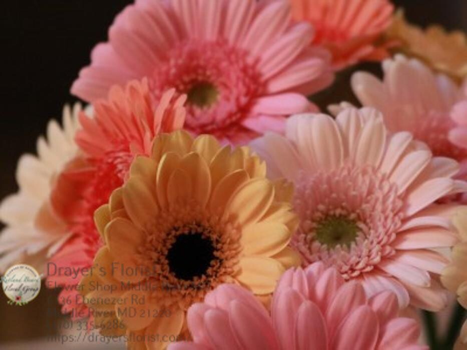 Images The Flower Bucket