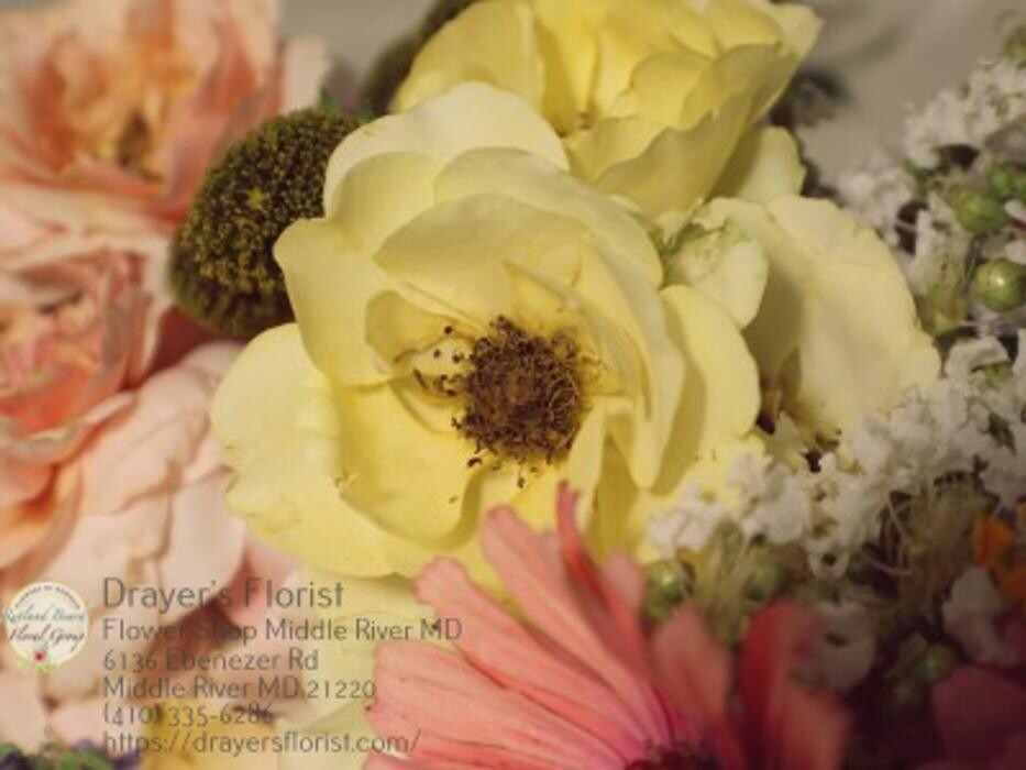 Images The Flower Bucket