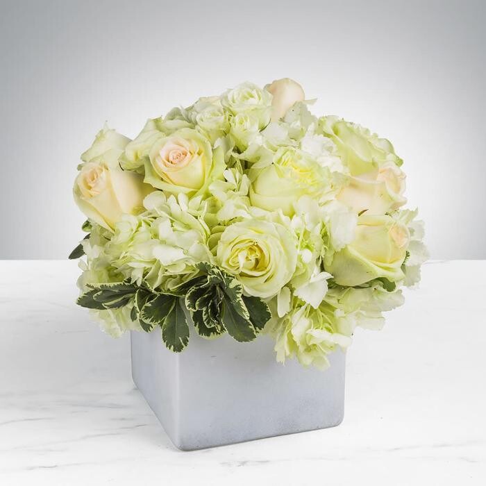Images The Flower Bucket