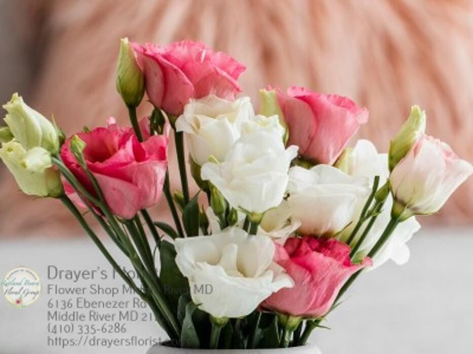 Images The Flower Bucket