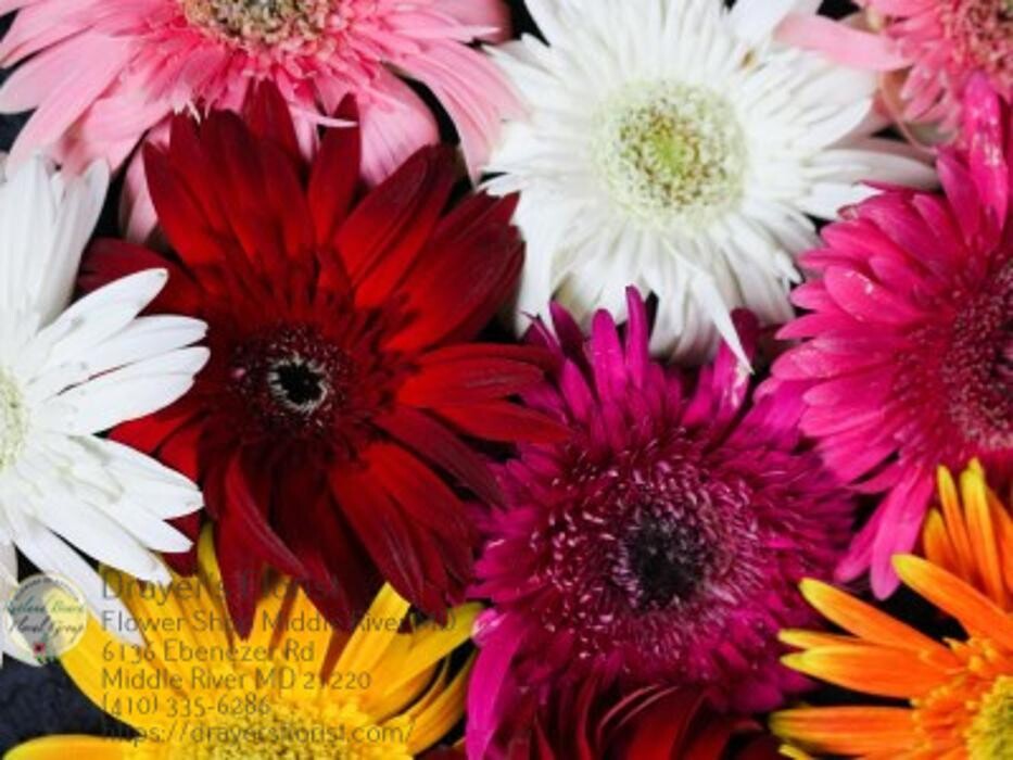 Images The Flower Bucket