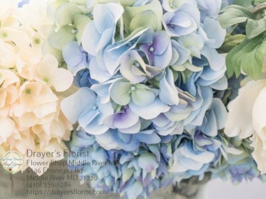Images The Flower Bucket