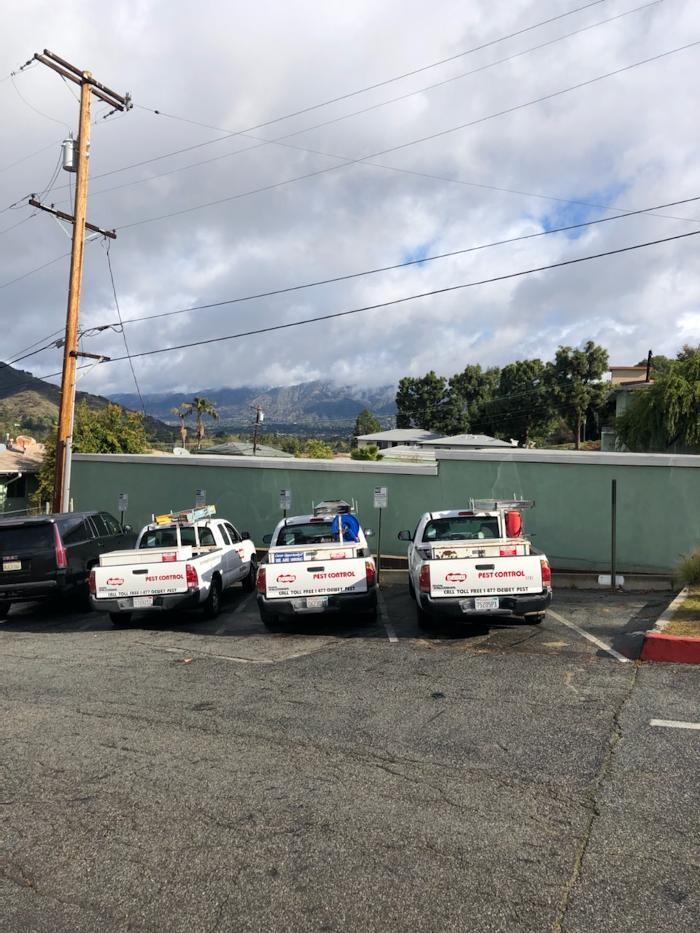 Images Dewey Pest & Termite Control