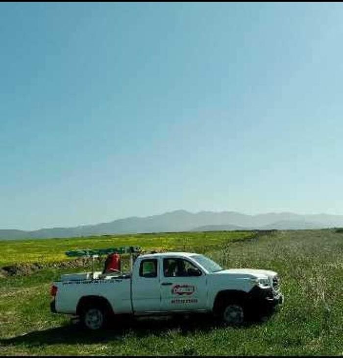 Images Dewey Pest & Termite Control