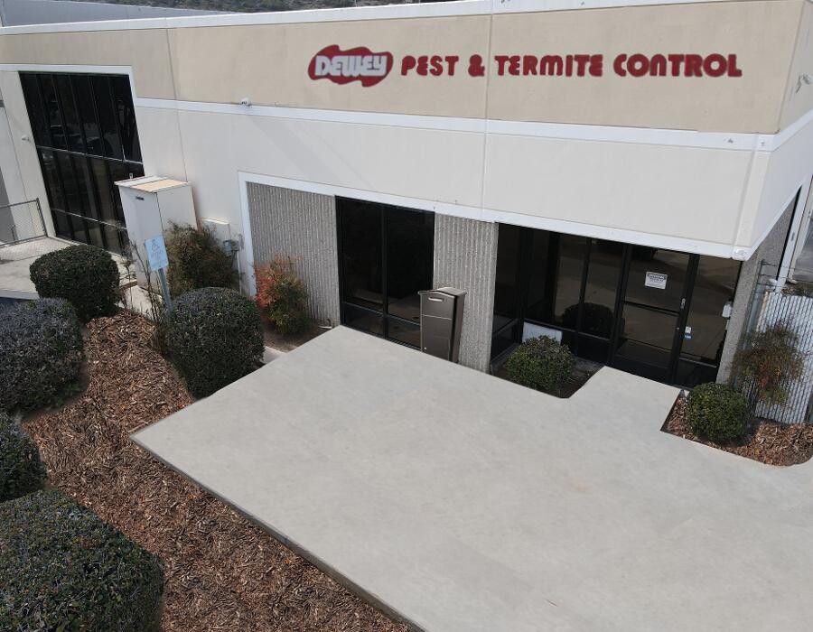 Images Dewey Pest & Termite Control