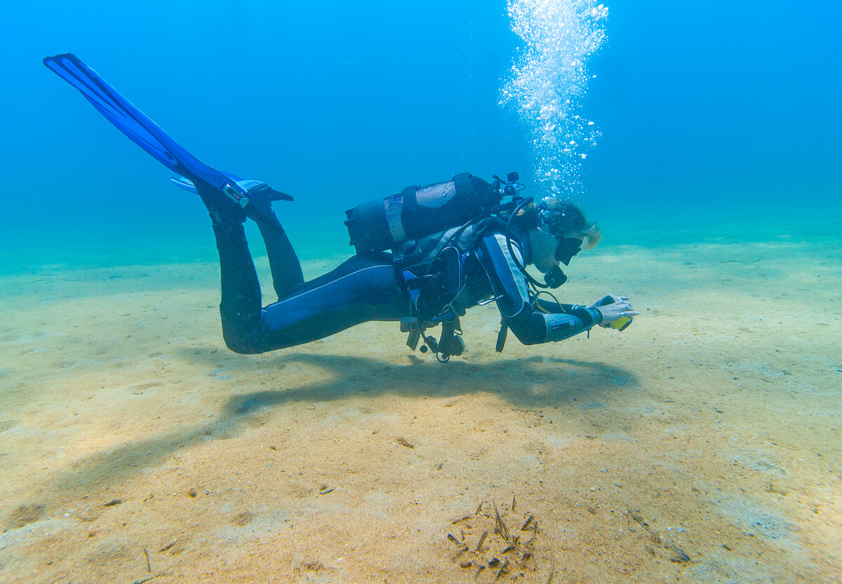 Images By The Shore Scuba Instructions LLC