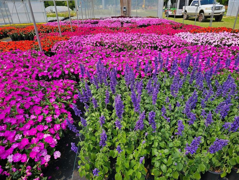 Images A Cut Above Landscaping