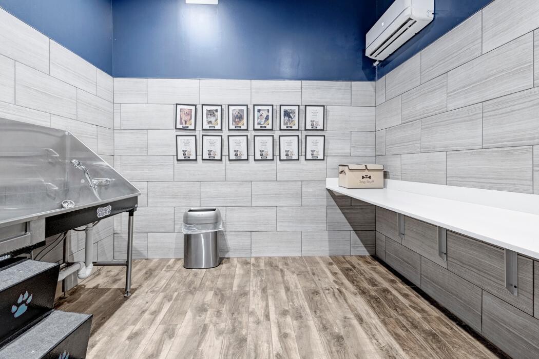 Images VER at Proscenium Apartments