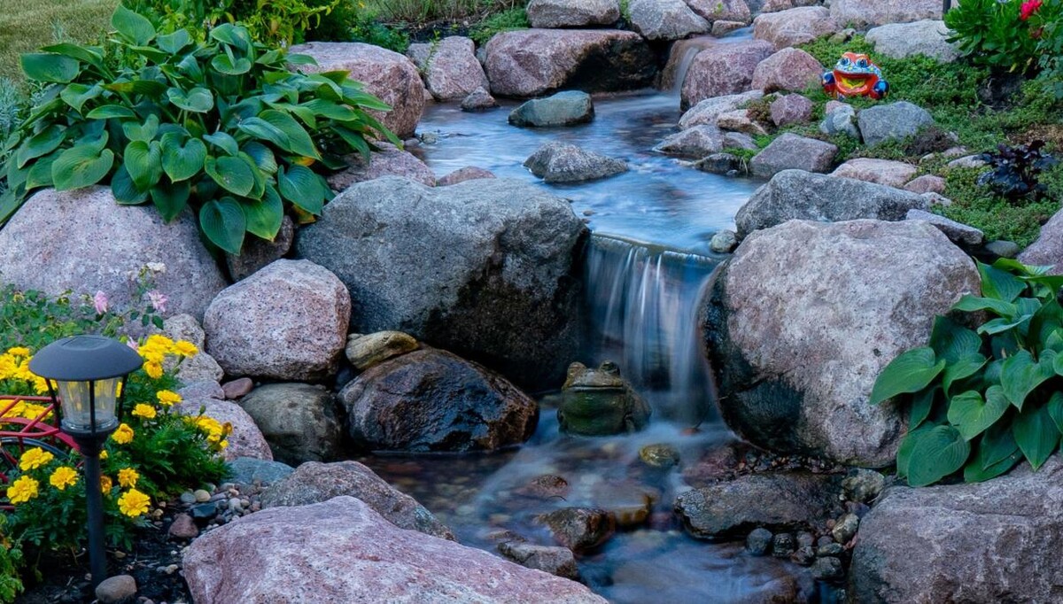 Images Beholder Aquatics