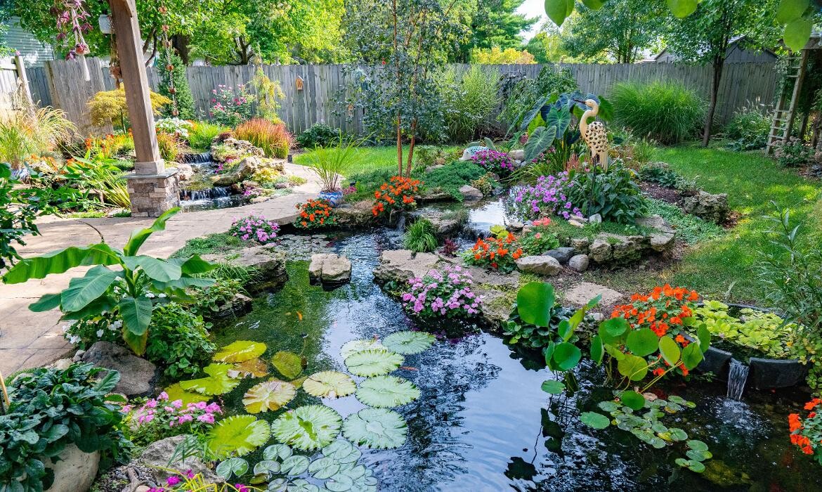 Images Beholder Aquatics