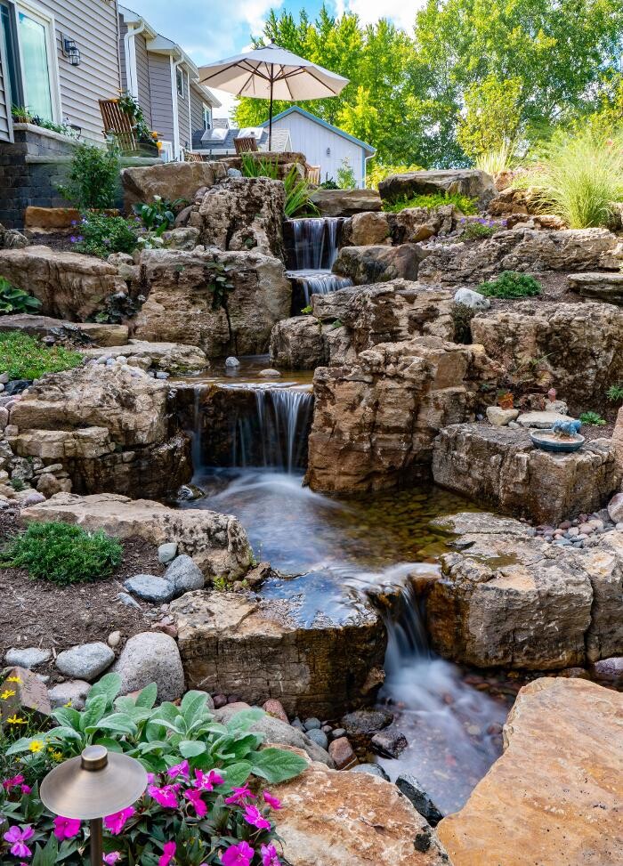 Images Beholder Aquatics
