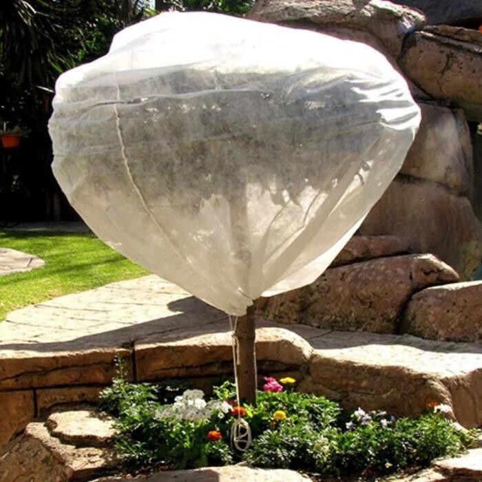 Images A Cut Above Landscaping