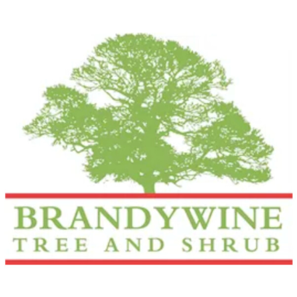 Brandywine Tree & Shrub Logo