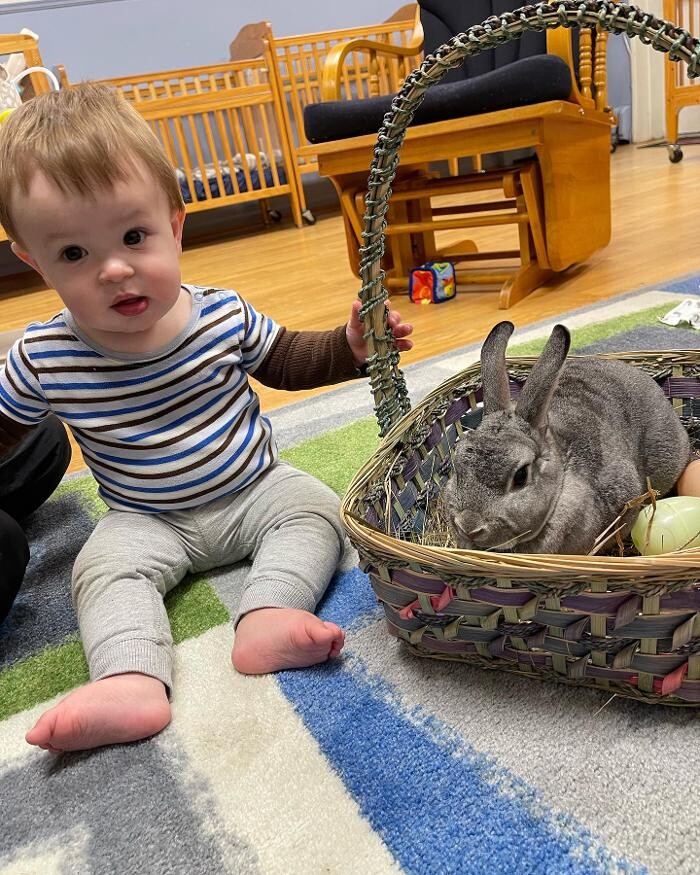 Images The Brookside School