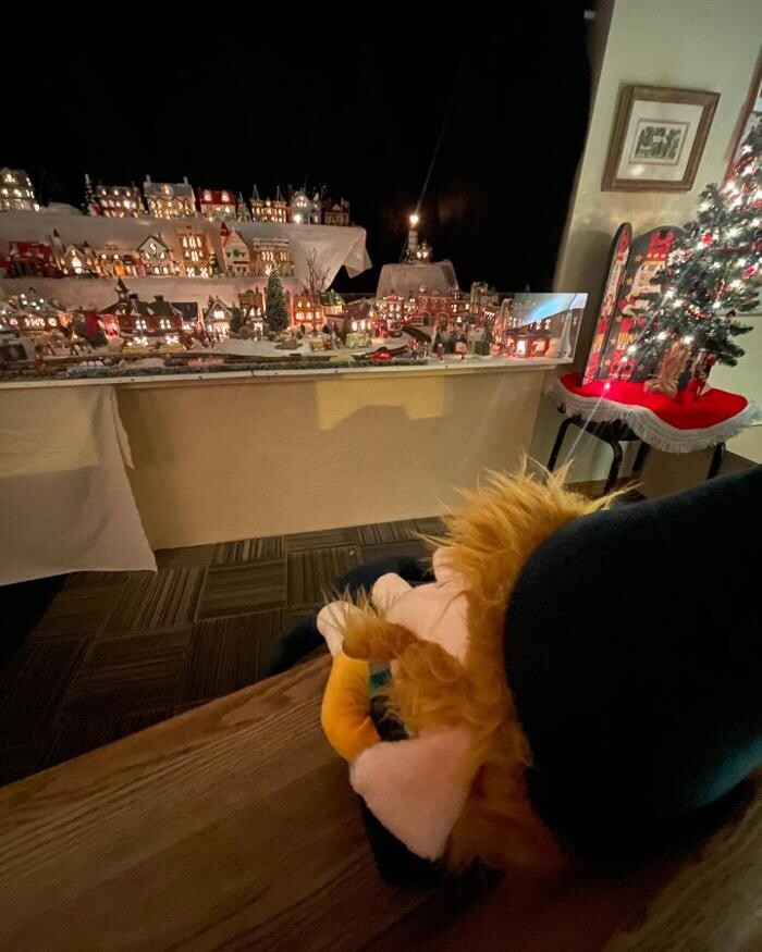 Images The Brookside School