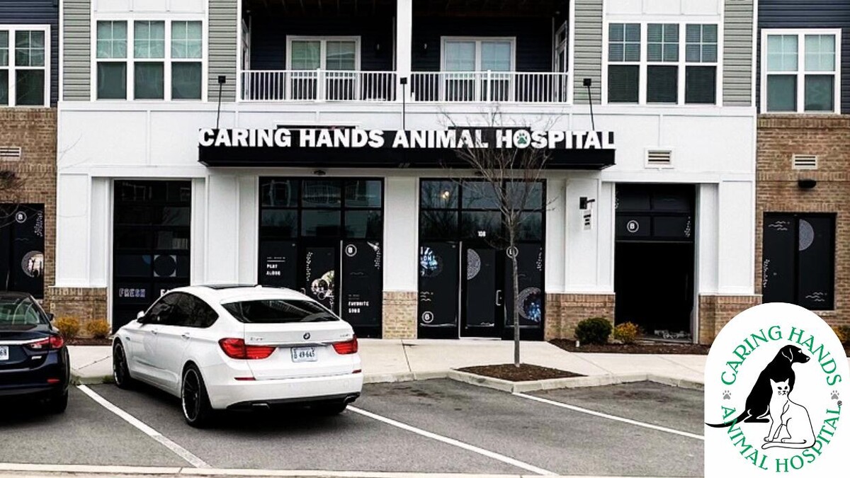 Images Caring Hands Animal Hospital - Suffolk