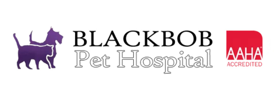 Blackbob Pet Hospital & Cat Clinic Logo