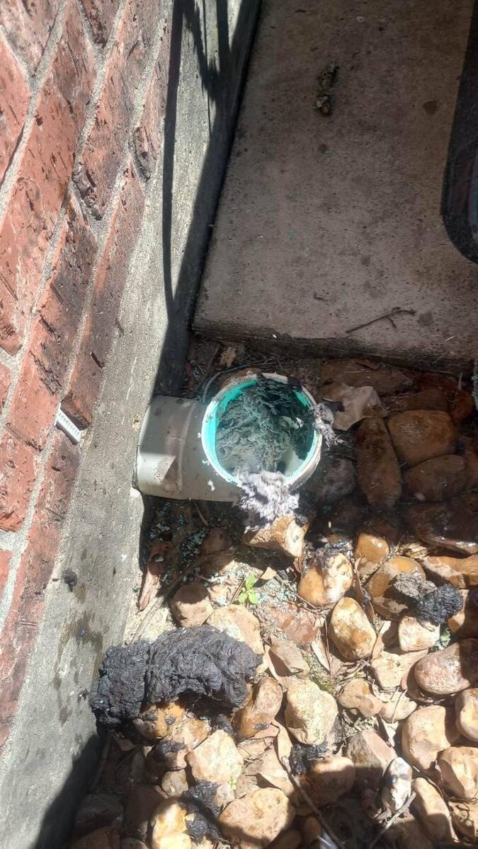 Images D&N Economy Plumbing, LLC