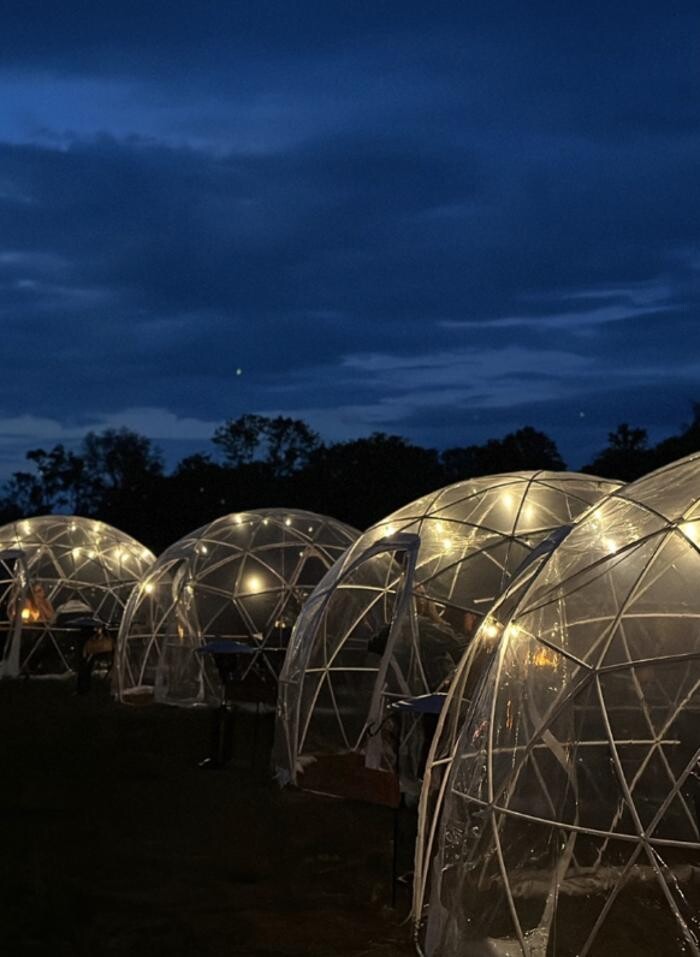 Images Under the Stars Farm