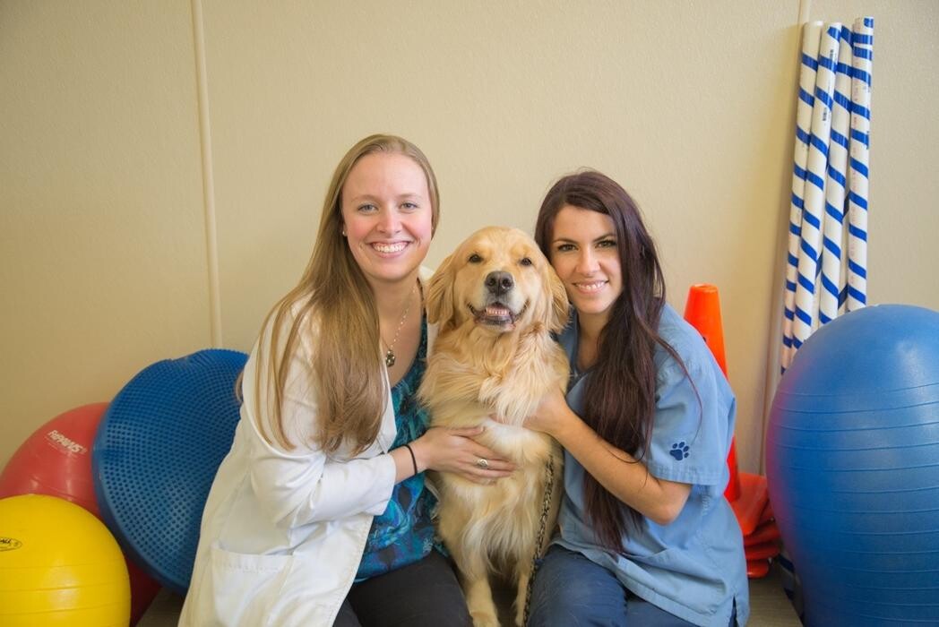 Images Rose Rock Veterinary Hospital & Pet Resort