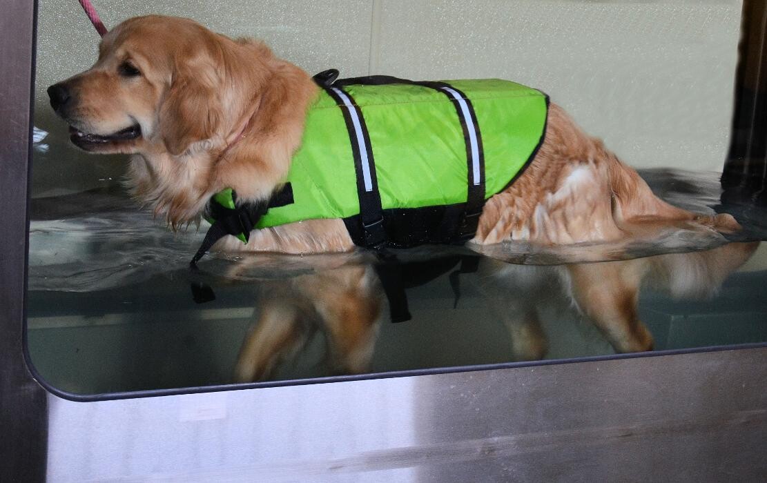 Images Rose Rock Veterinary Hospital & Pet Resort