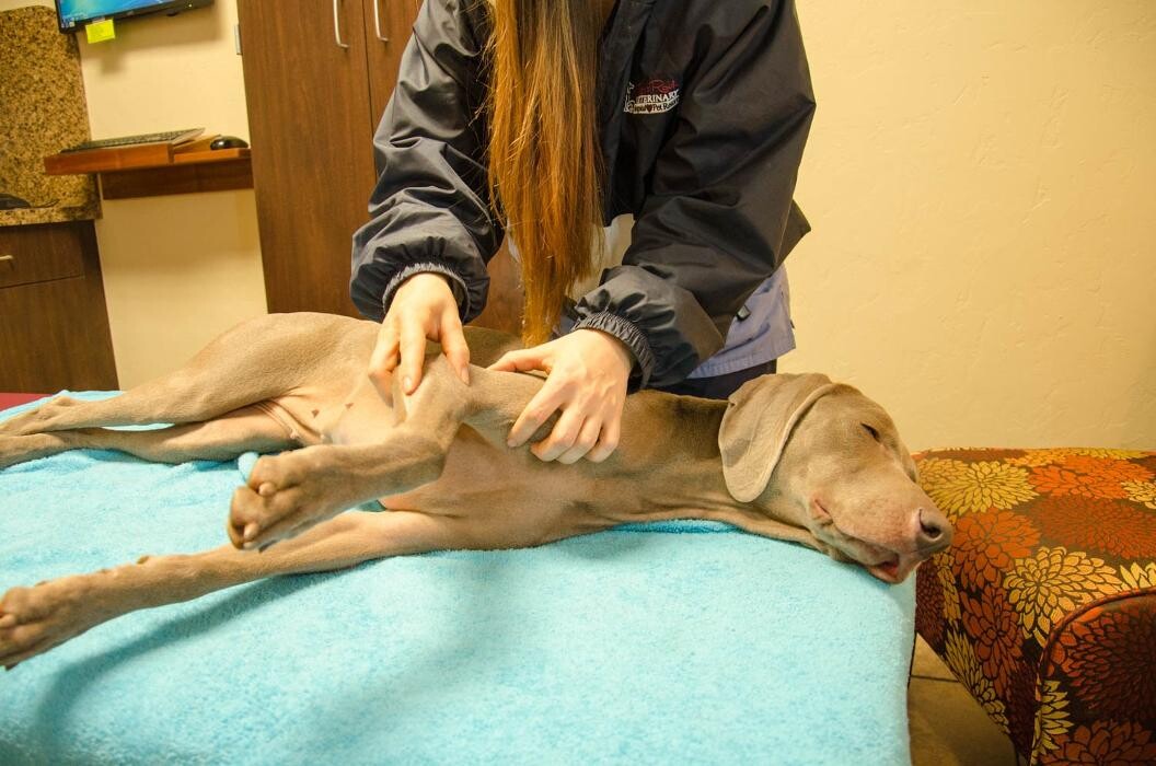 Images Rose Rock Veterinary Hospital & Pet Resort