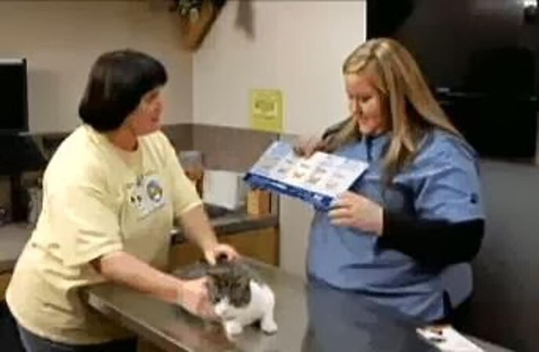 Images Rose Rock Veterinary Hospital & Pet Resort